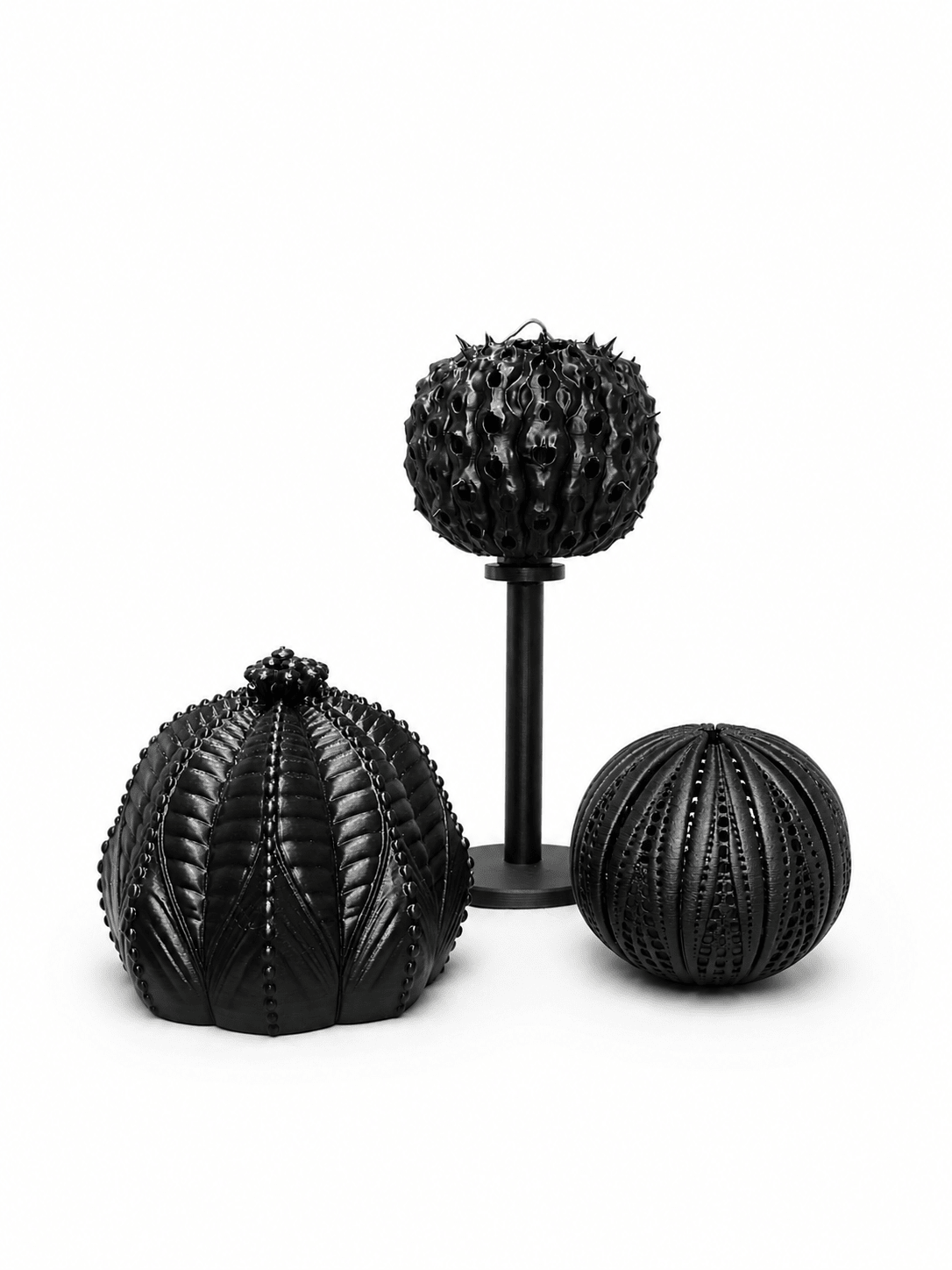 黑.植系列|光.影 黑王丸 - 朽根造|kyukonzo.co