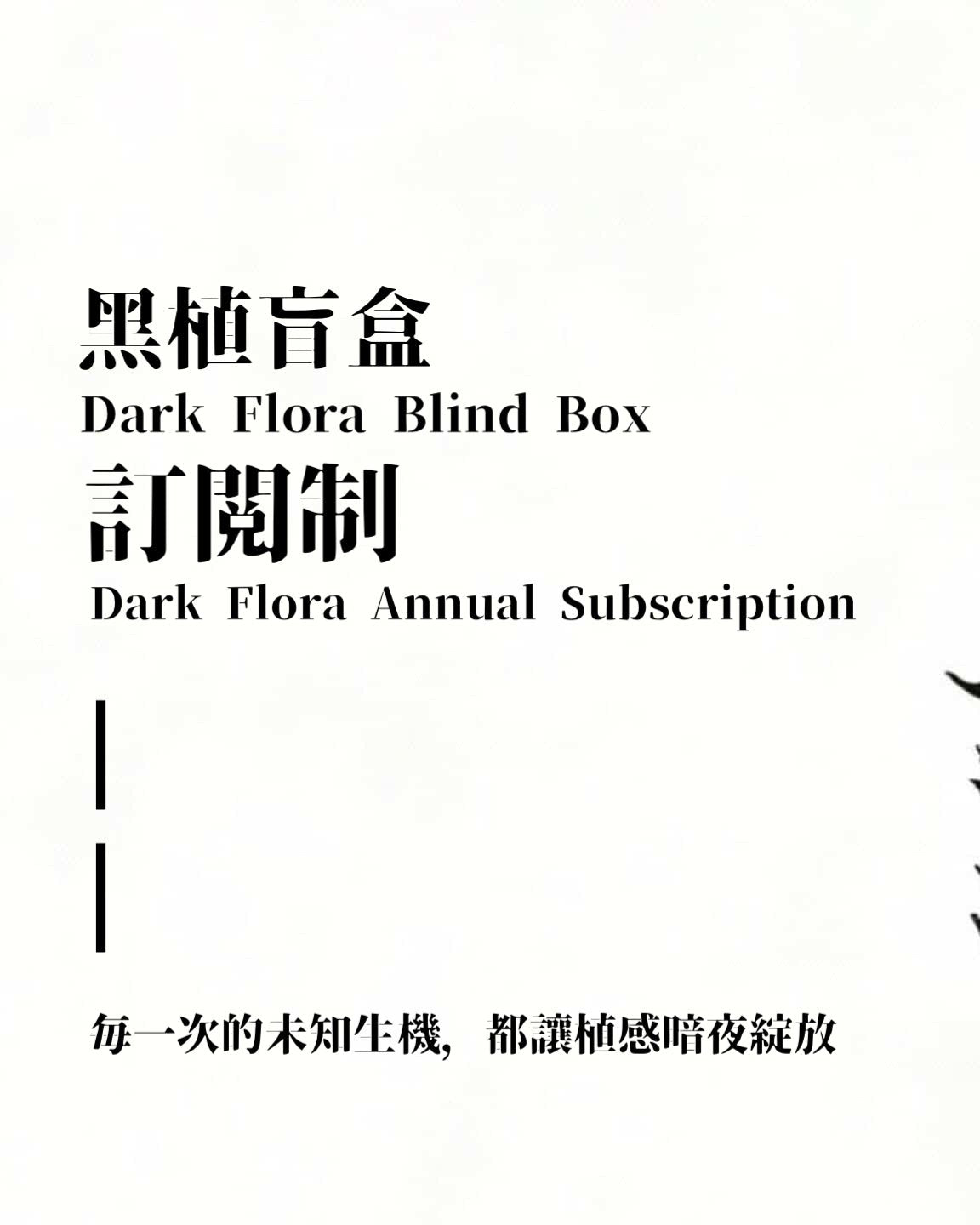 Dark Flora | 黑·植年度訂閱制計畫 - 朽根造｜kyukonzo.co