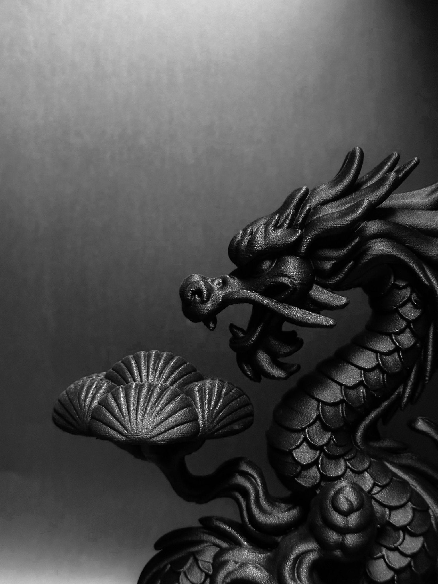 黑·盆系列｜龍·延 DRAGON - 朽根造｜kyukonzo.co