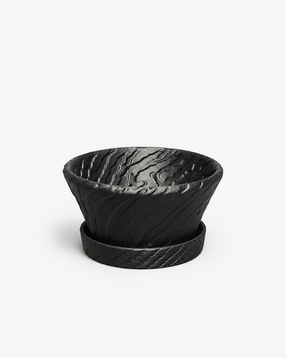 Kyu. X AIP BONSAI｜VOL.01 虎紋盤 - 朽根造｜kyukonzo.co
