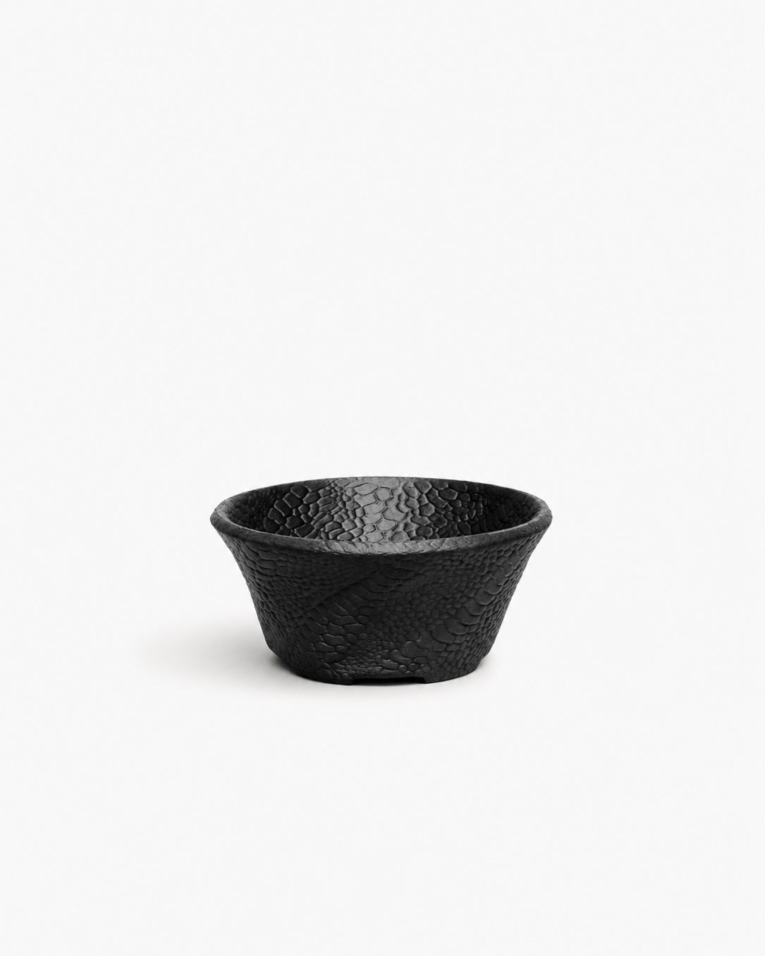 Kyu. X AIP BONSAI｜VOL.02 蛇紋盆 - 朽根造｜kyukonzo.co