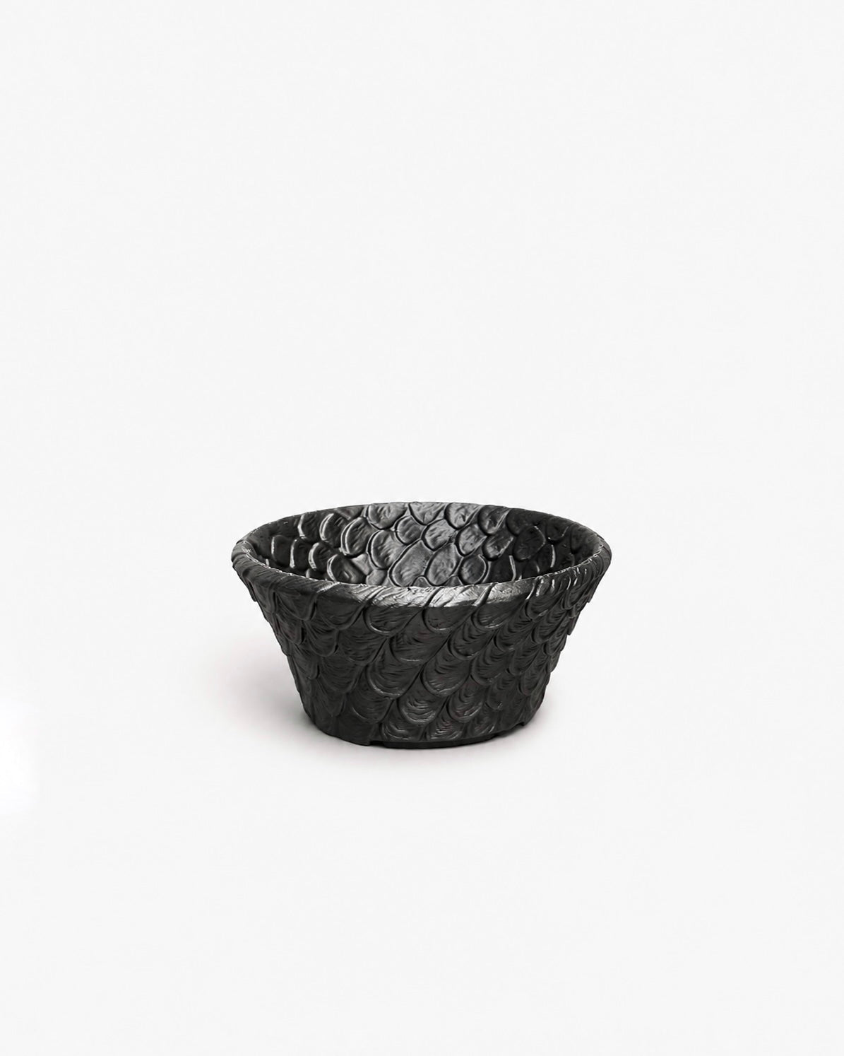 Kyu. X AIP BONSAI｜VOL.03 龍鱗盆 - 朽根造｜kyukonzo.co
