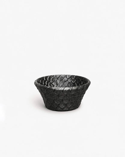 Kyu. X AIP BONSAI｜VOL.03 龍鱗盆 - 朽根造｜kyukonzo.co