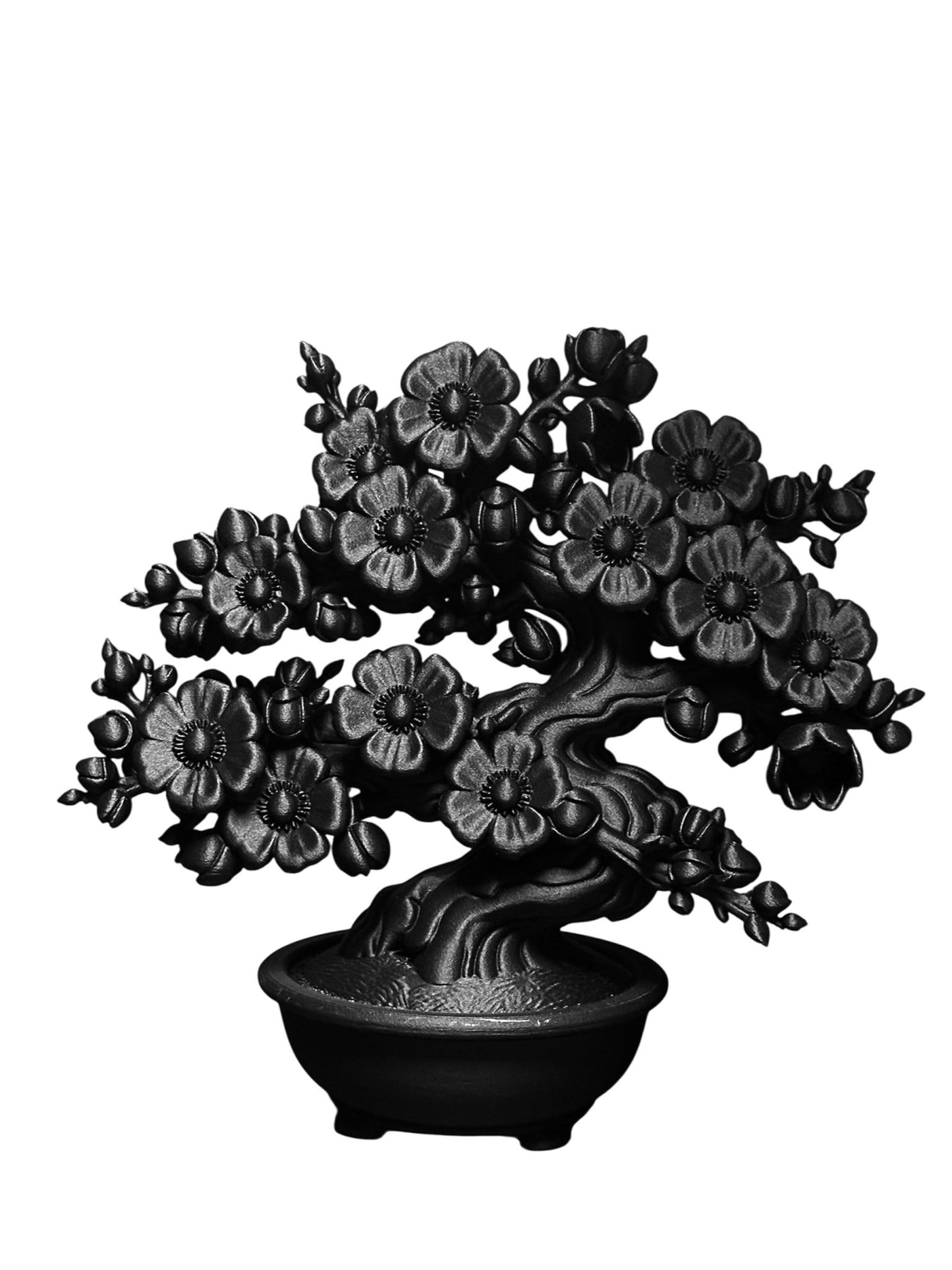 黑·盆系列｜展·梅 - 朽根造｜kyukonzo.co