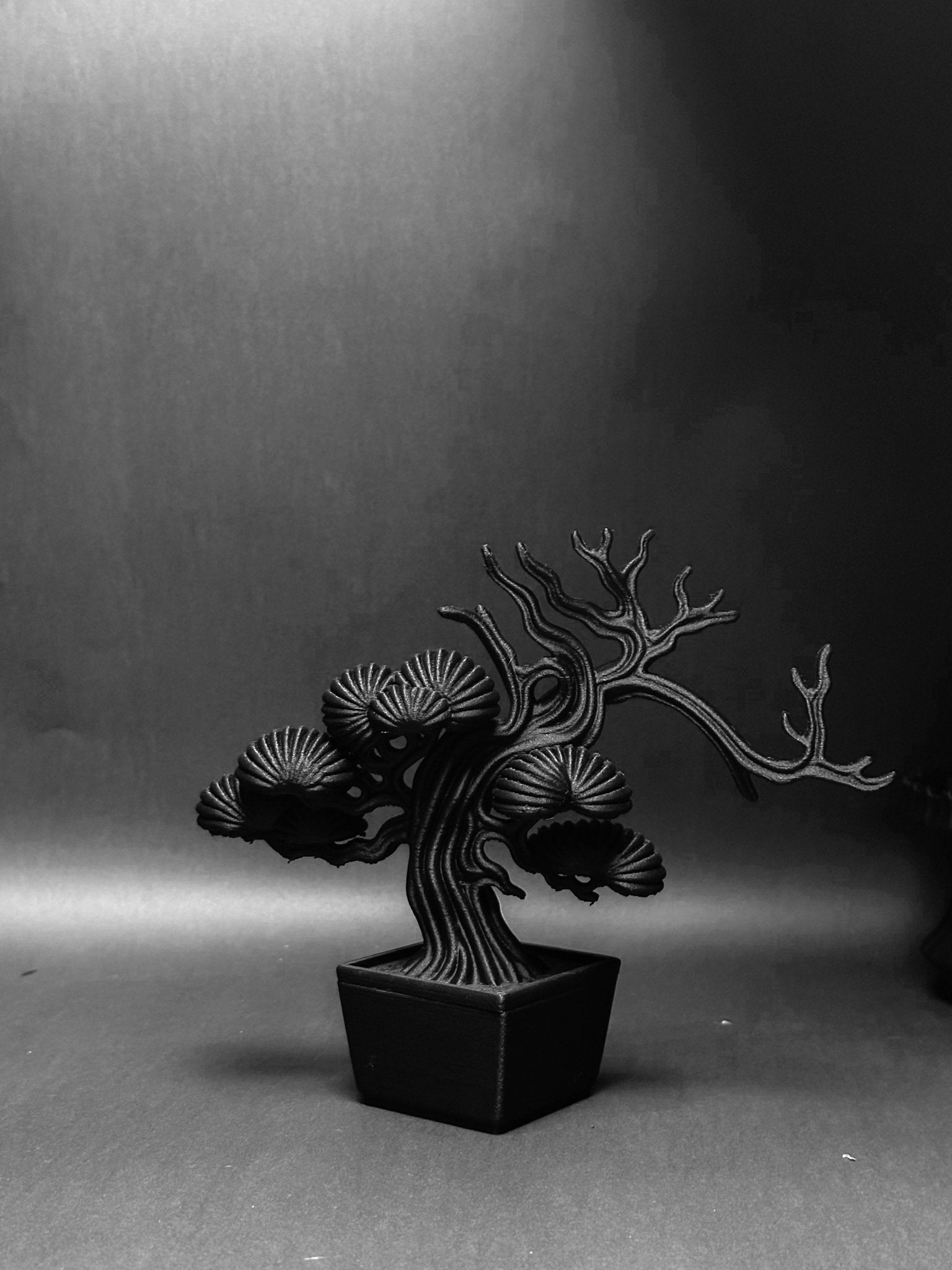 黑·盆系列｜靜·柏 - 朽根造｜kyukonzo.co