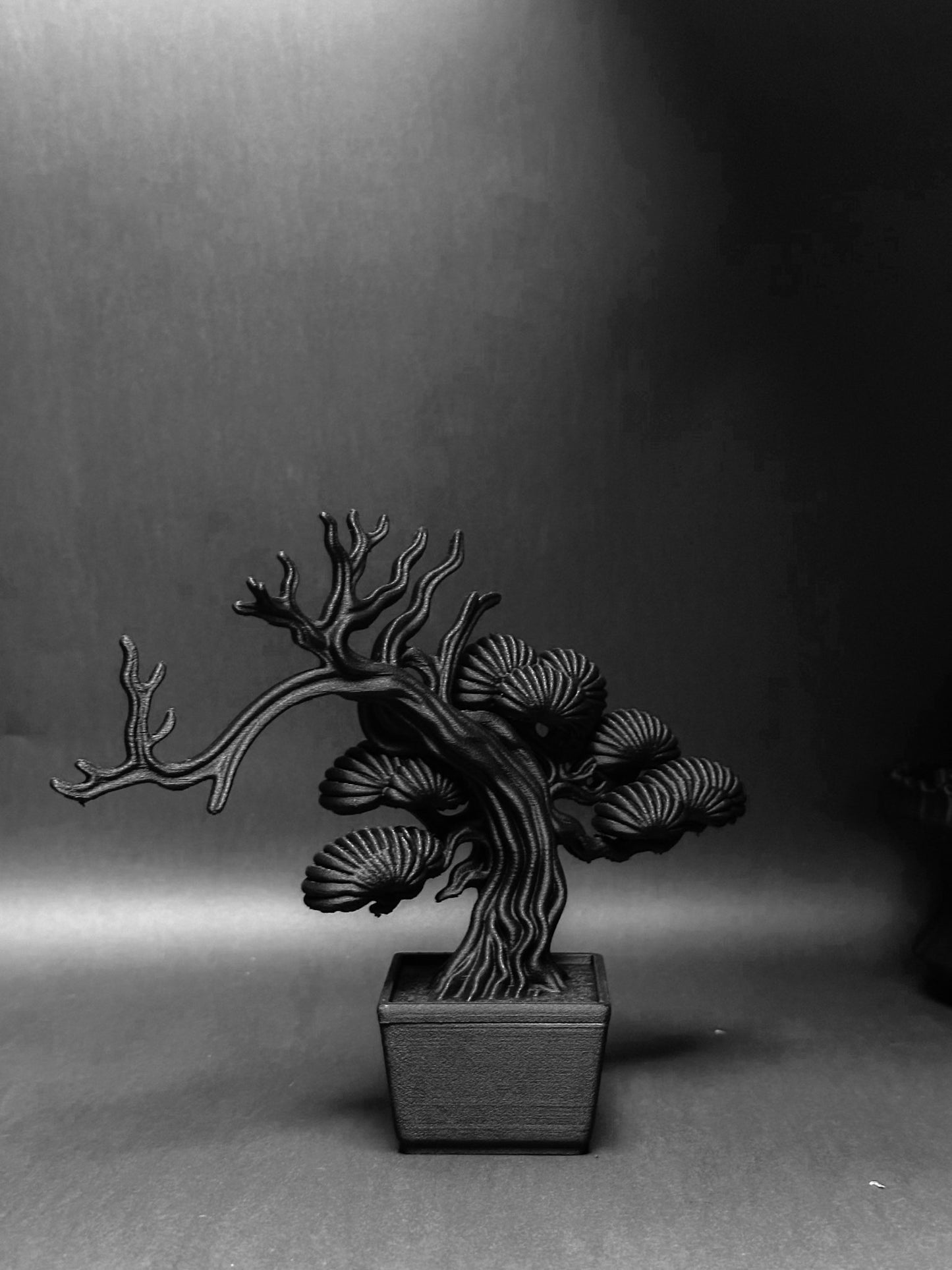 黑·盆系列｜靜·柏 - 朽根造｜kyukonzo.co