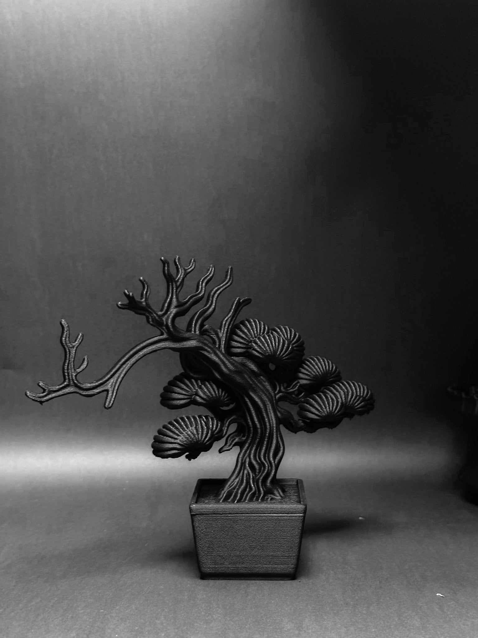 黑·盆系列｜靜·柏 - 朽根造｜kyukonzo.co