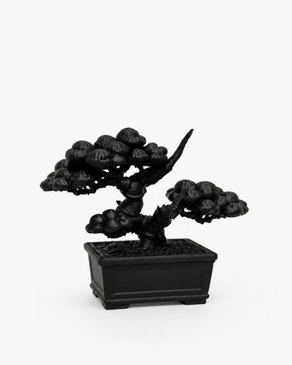 黑．盆系列｜双．柏 - 朽根造｜kyukonzo.co