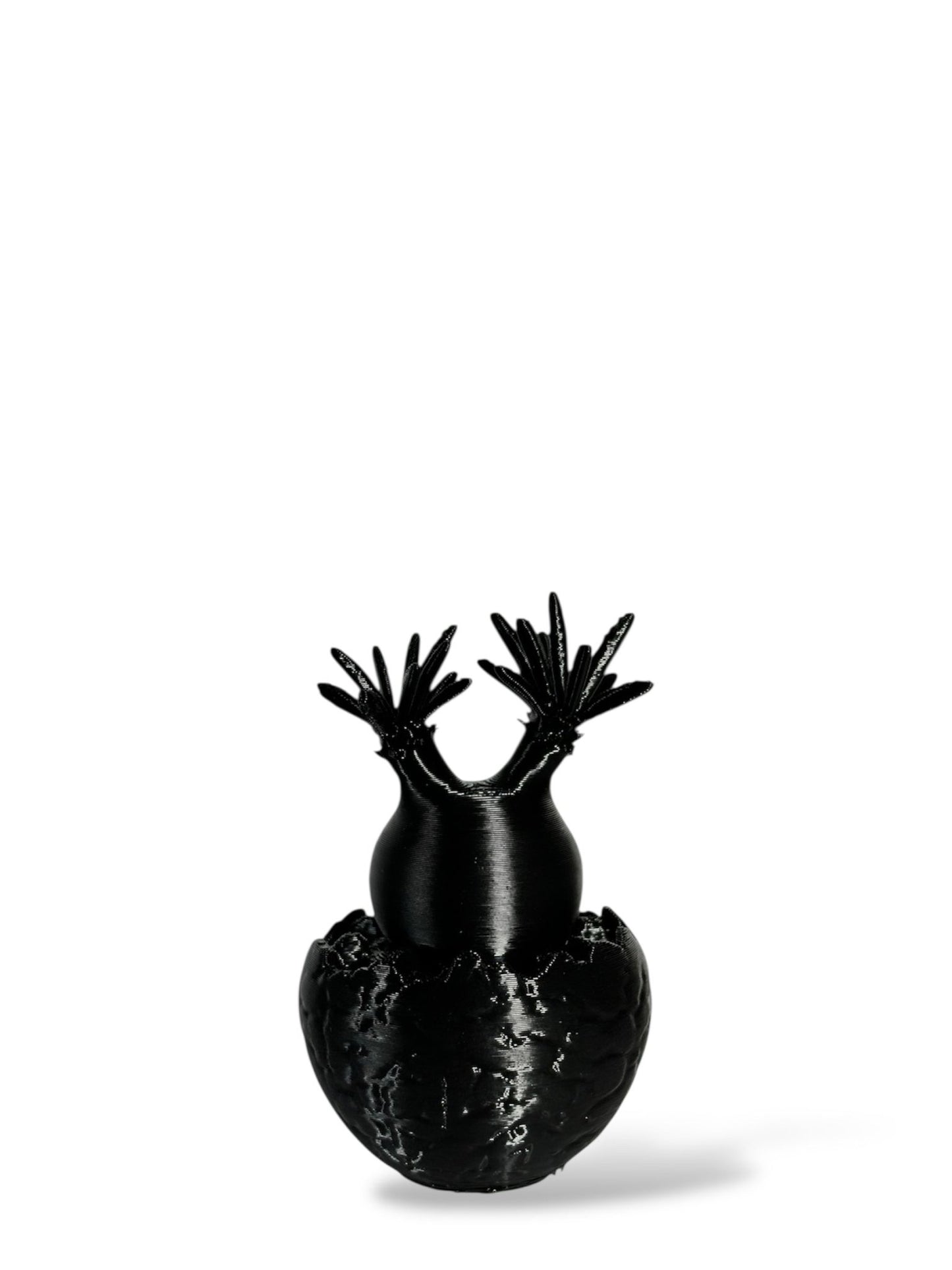 黑·植系列｜靜物單植擺飾 - 朽根造｜kyukonzo.co