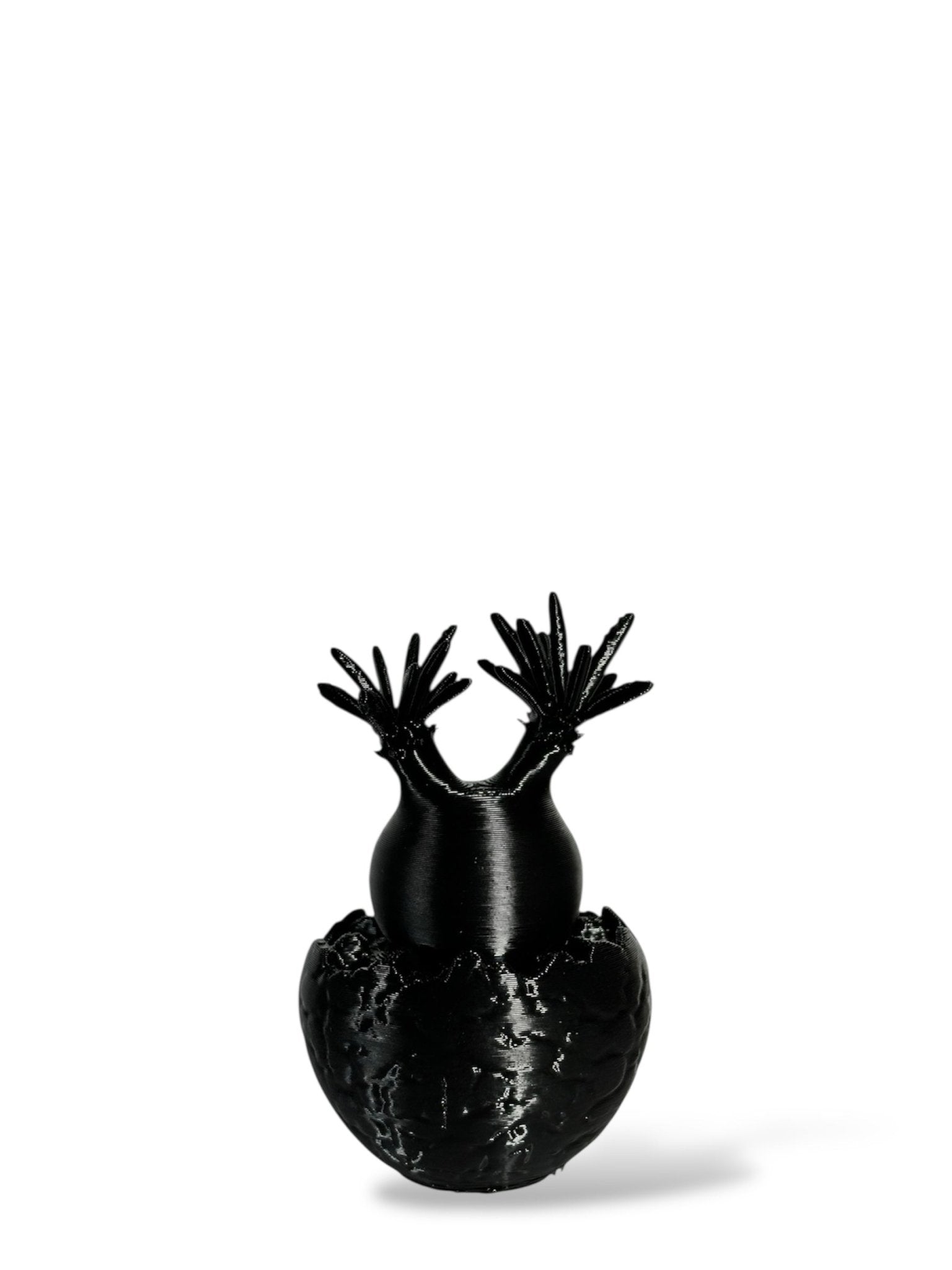 黑·植系列｜靜物單植擺飾 - 朽根造｜kyukonzo.co