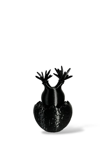 黑·植系列｜靜物單植擺飾 - 朽根造｜kyukonzo.co