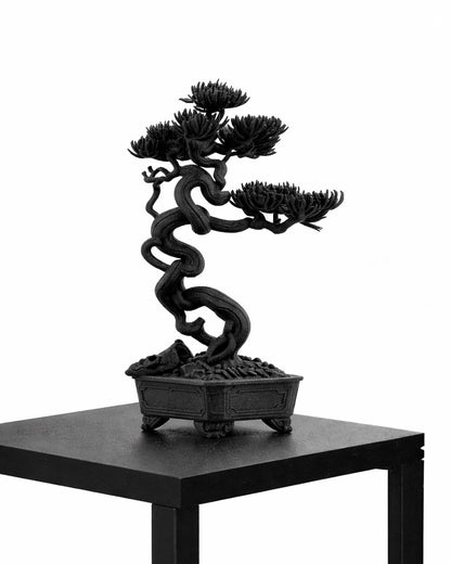 黑．盆系列｜茂．枯榮 - 朽根造｜kyukonzo.co