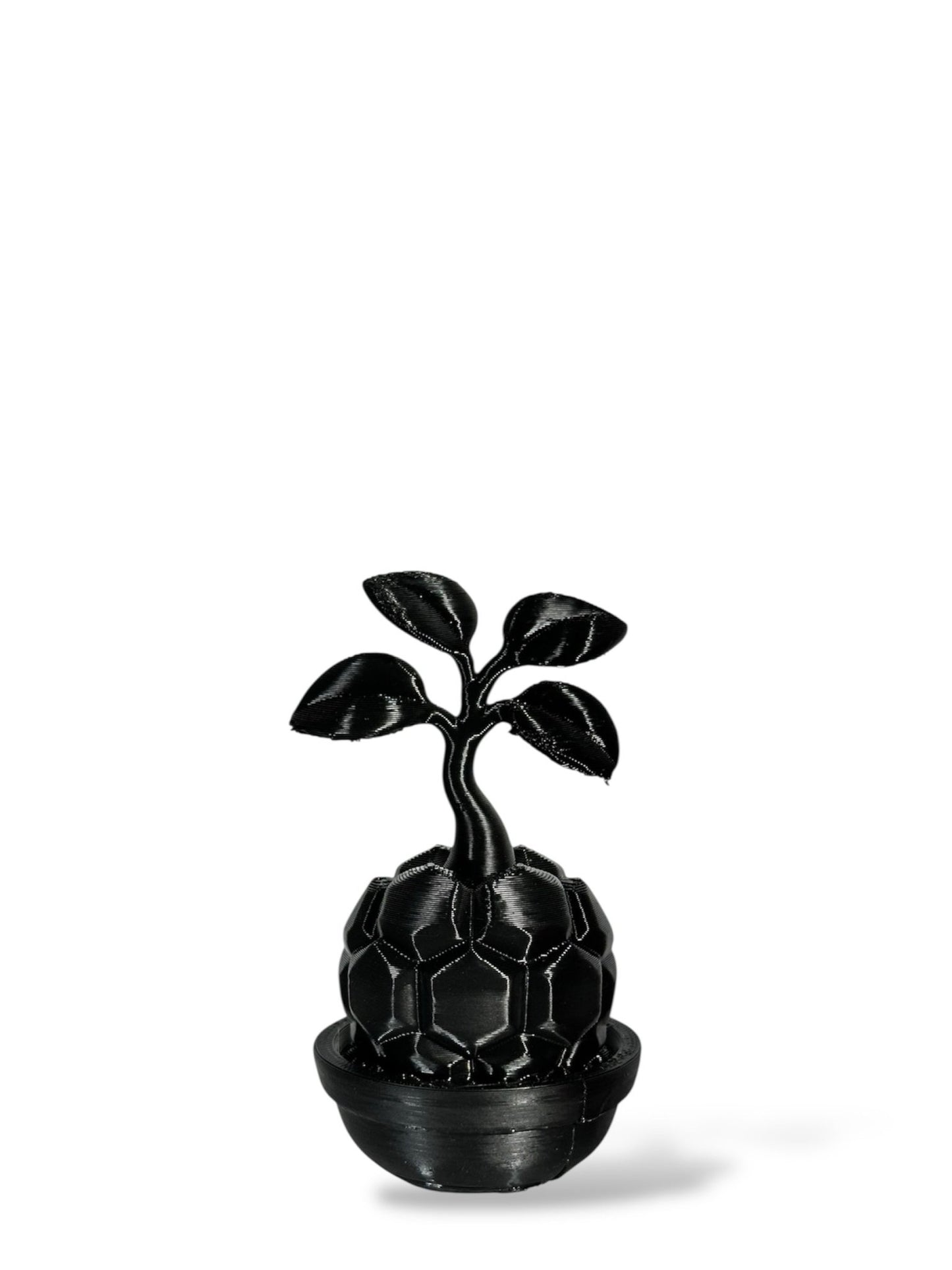 黑·植系列｜靜物單植擺飾 - 朽根造｜kyukonzo.co