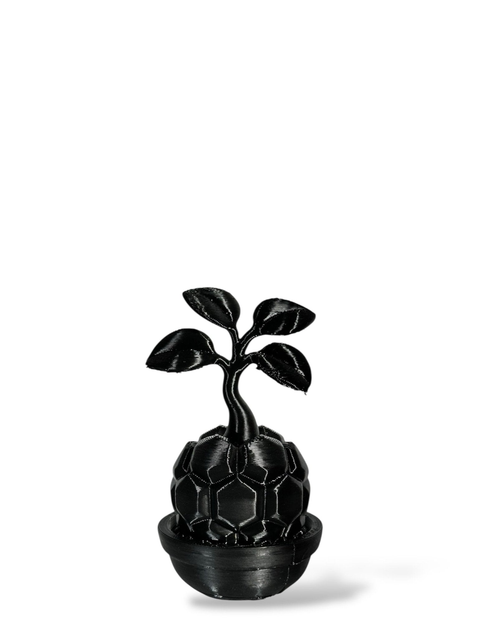 黑·植系列｜靜物單植擺飾 - 朽根造｜kyukonzo.co