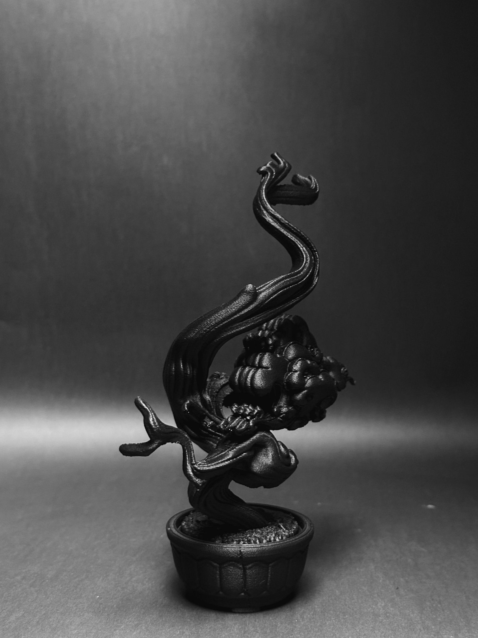 黑·盆系列｜舍利·逆風 - 朽根造｜kyukonzo.co