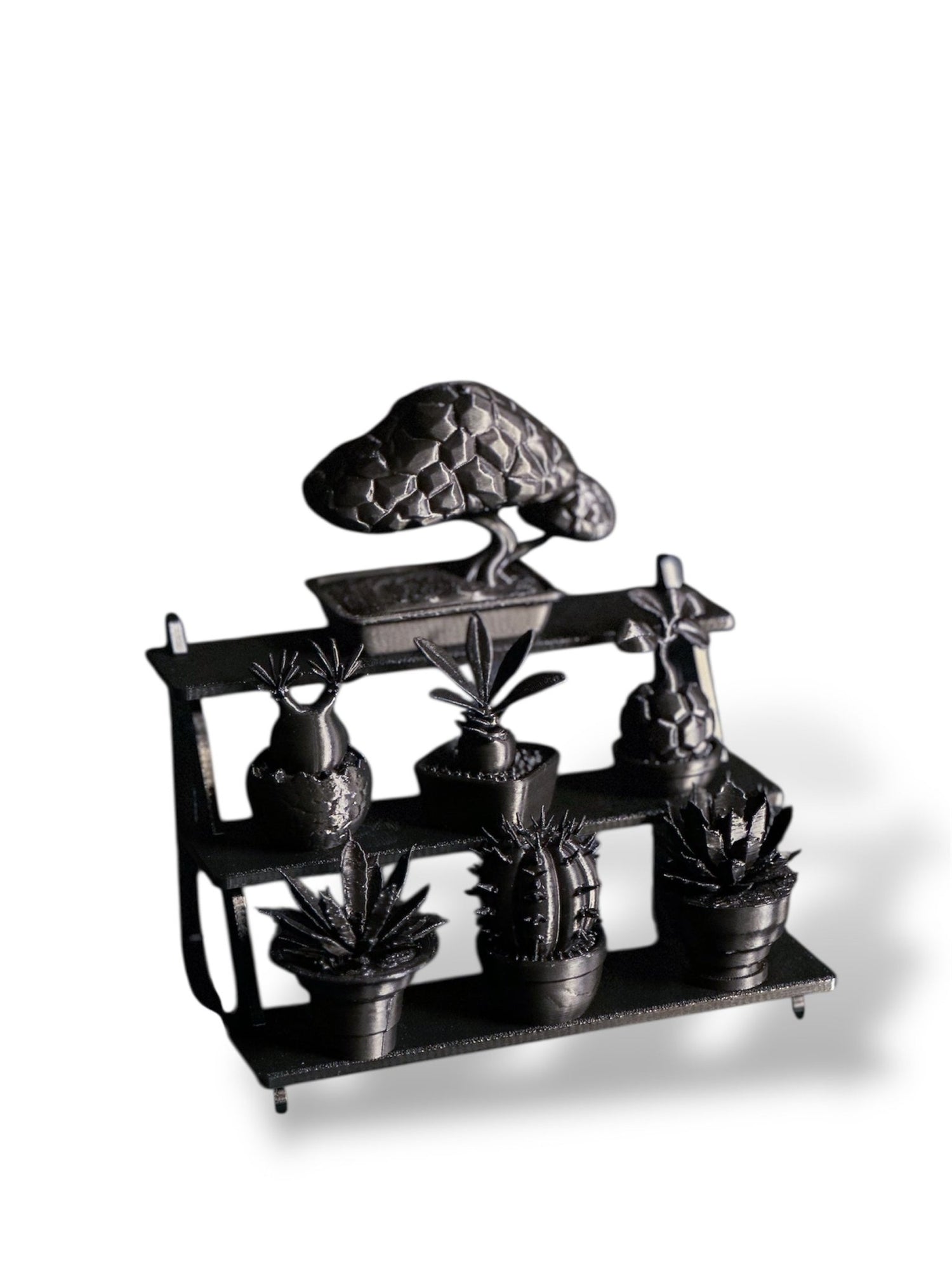 黑·植系列 | 靜物群像展示組 - 朽根造｜kyukonzo.co