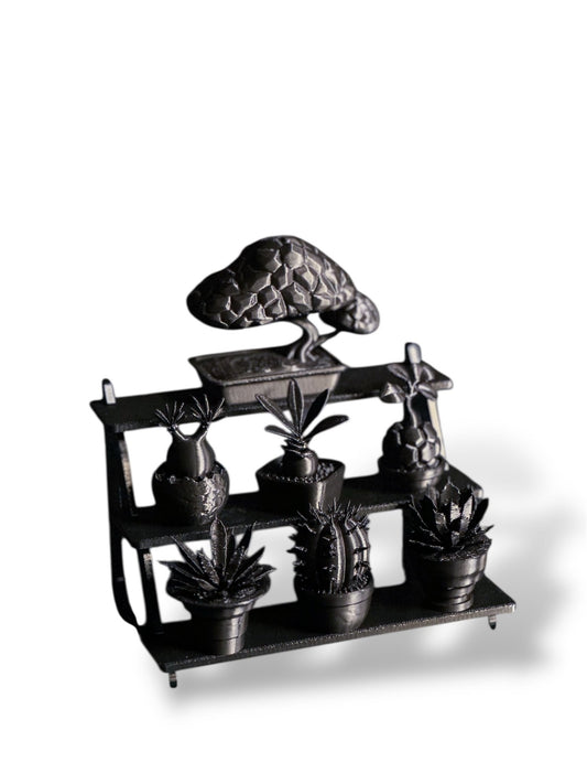 黑·植系列 | 靜物群像展示組 - 朽根造｜kyukonzo.co