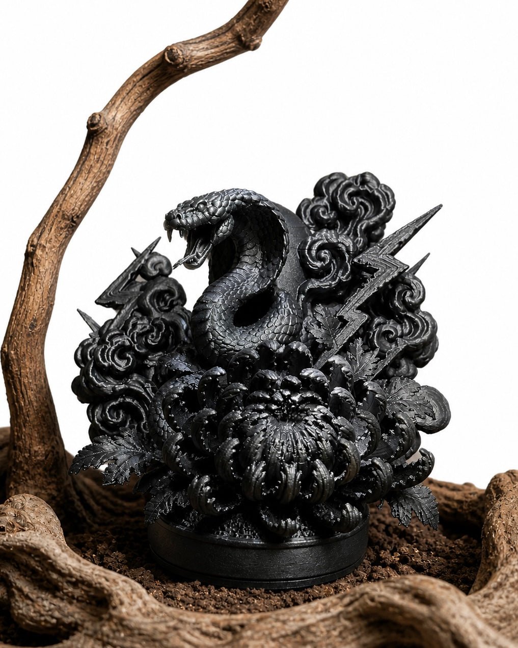 黑．植系列｜菊．蛇影 - 朽根造｜kyukonzo.co
