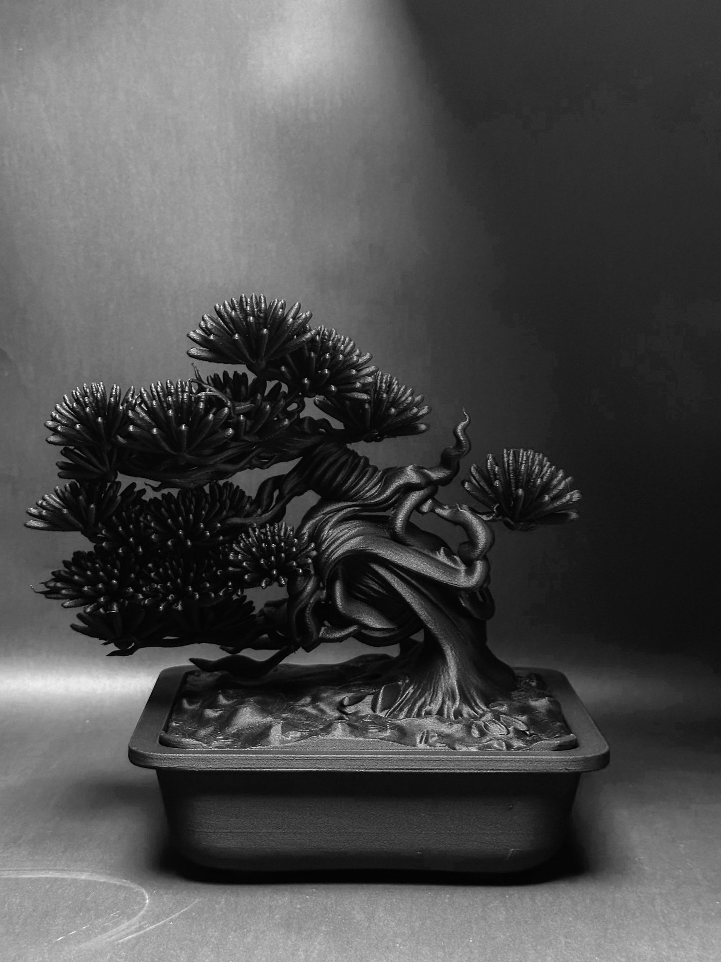 黑·盆系列｜盤·蔵 - 朽根造｜kyukonzo.co