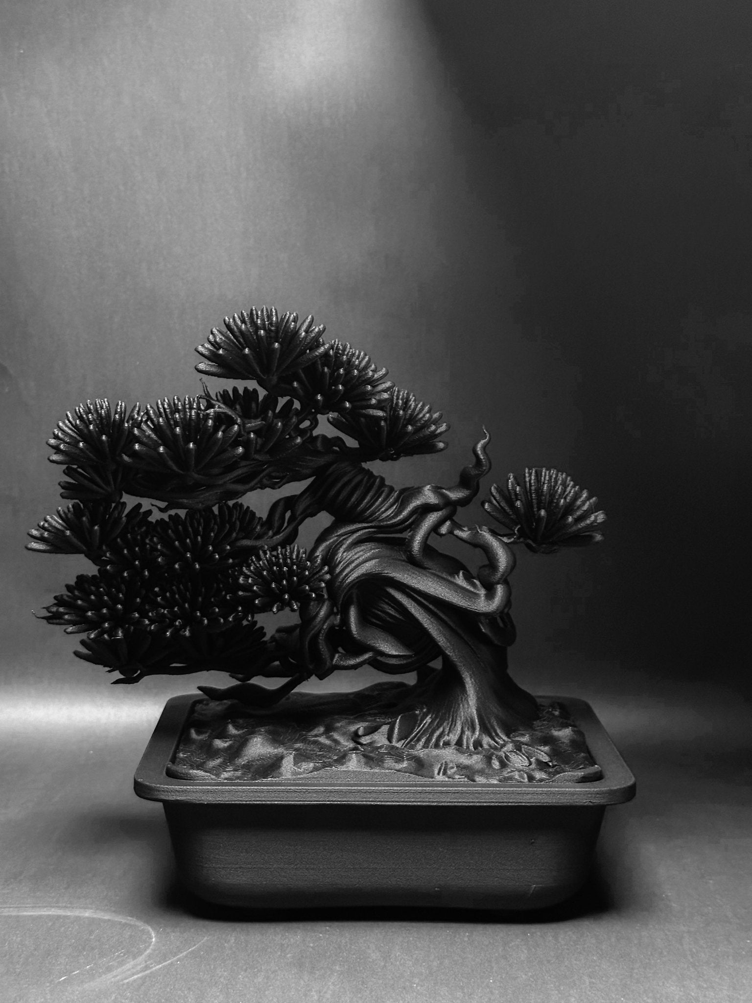 黑·盆系列｜盤·蔵 - 朽根造｜kyukonzo.co