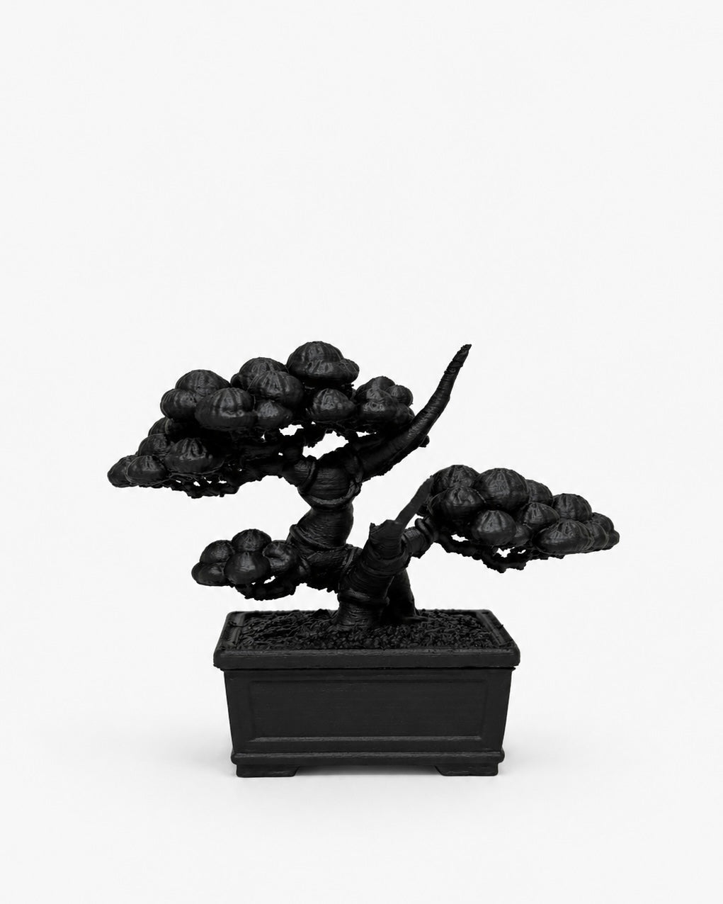 黑．盆系列｜双．柏 - 朽根造｜kyukonzo.co