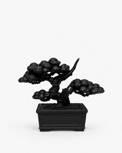 黑．盆系列｜双．柏 - 朽根造｜kyukonzo.co