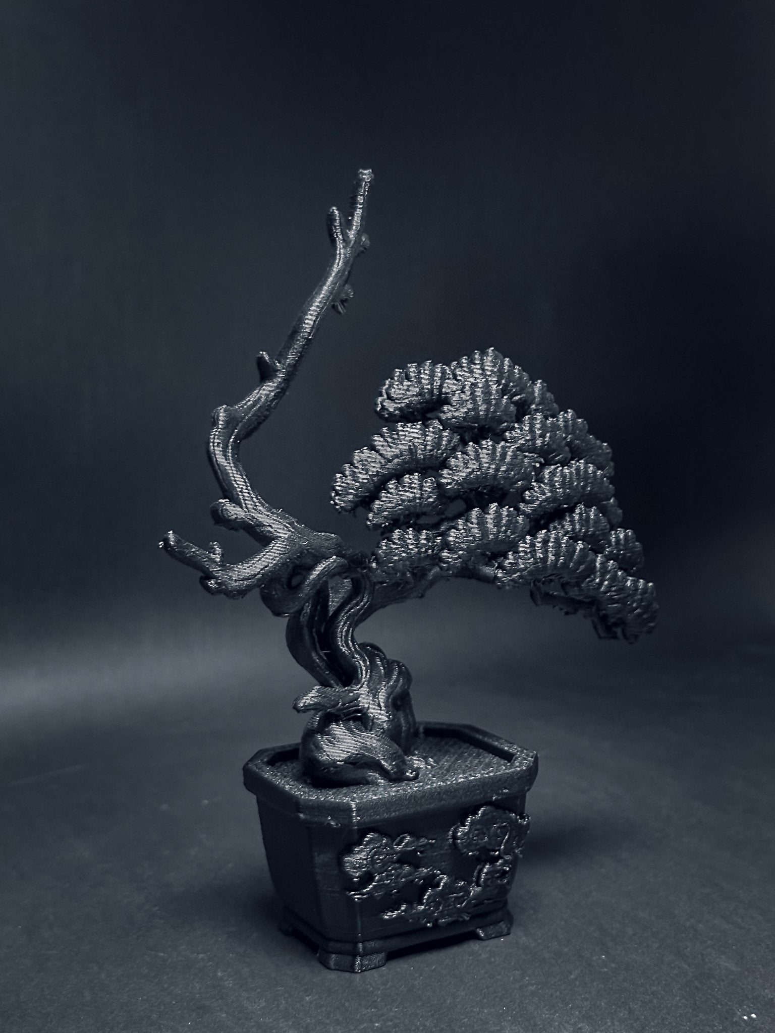 黑．盆系列｜限定周年．系魚川 - 朽根造｜kyukonzo.co