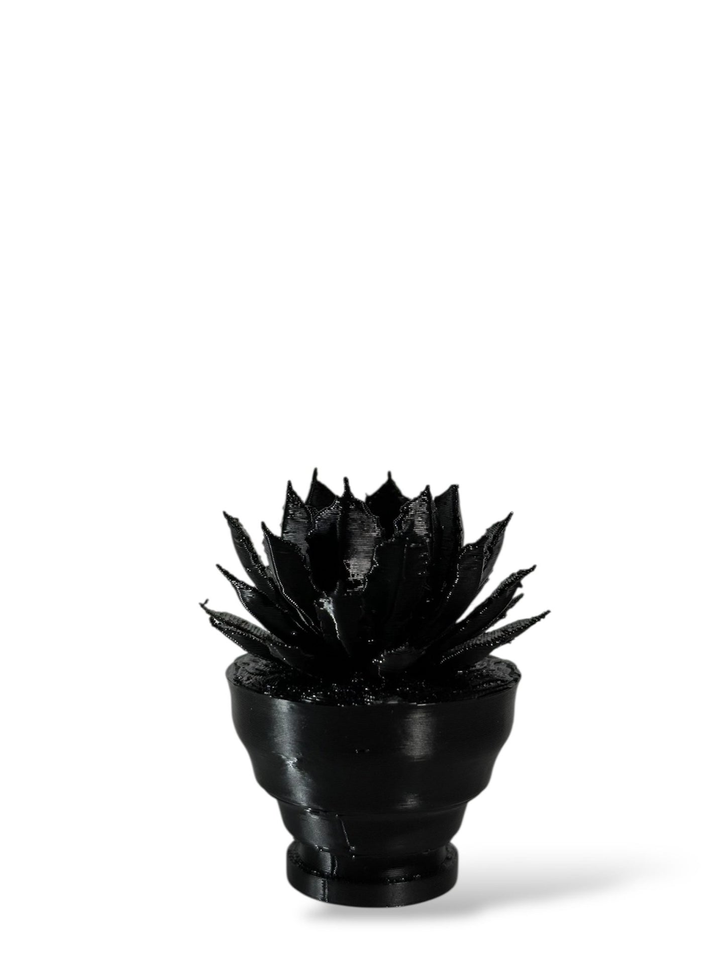 黑·植系列｜靜物單植擺飾 - 朽根造｜kyukonzo.co