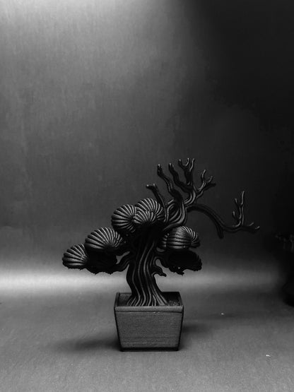 黑·盆系列｜靜·柏 - 朽根造｜kyukonzo.co