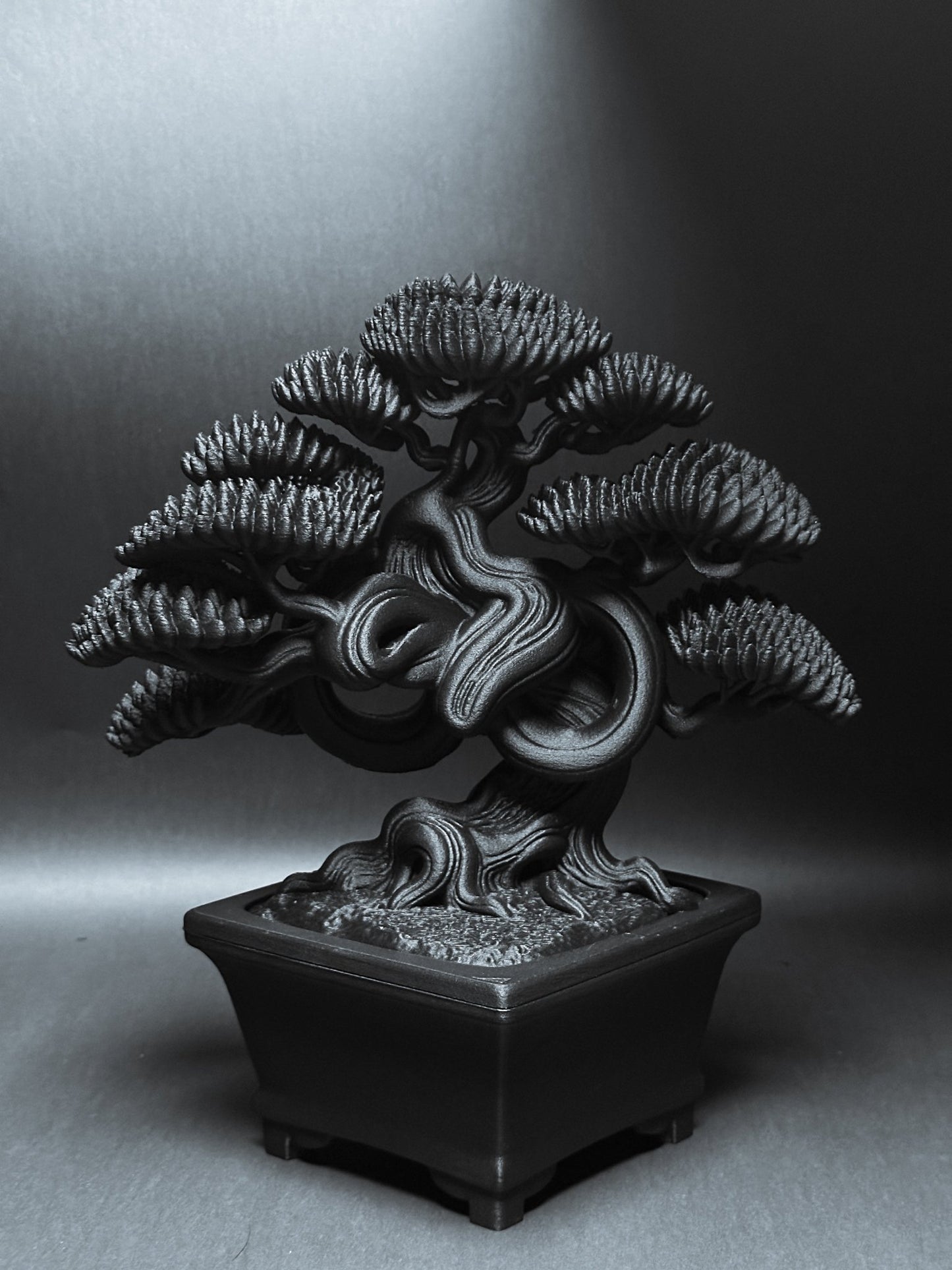 黑·盆系列｜洞·韻 - 朽根造｜kyukonzo.co