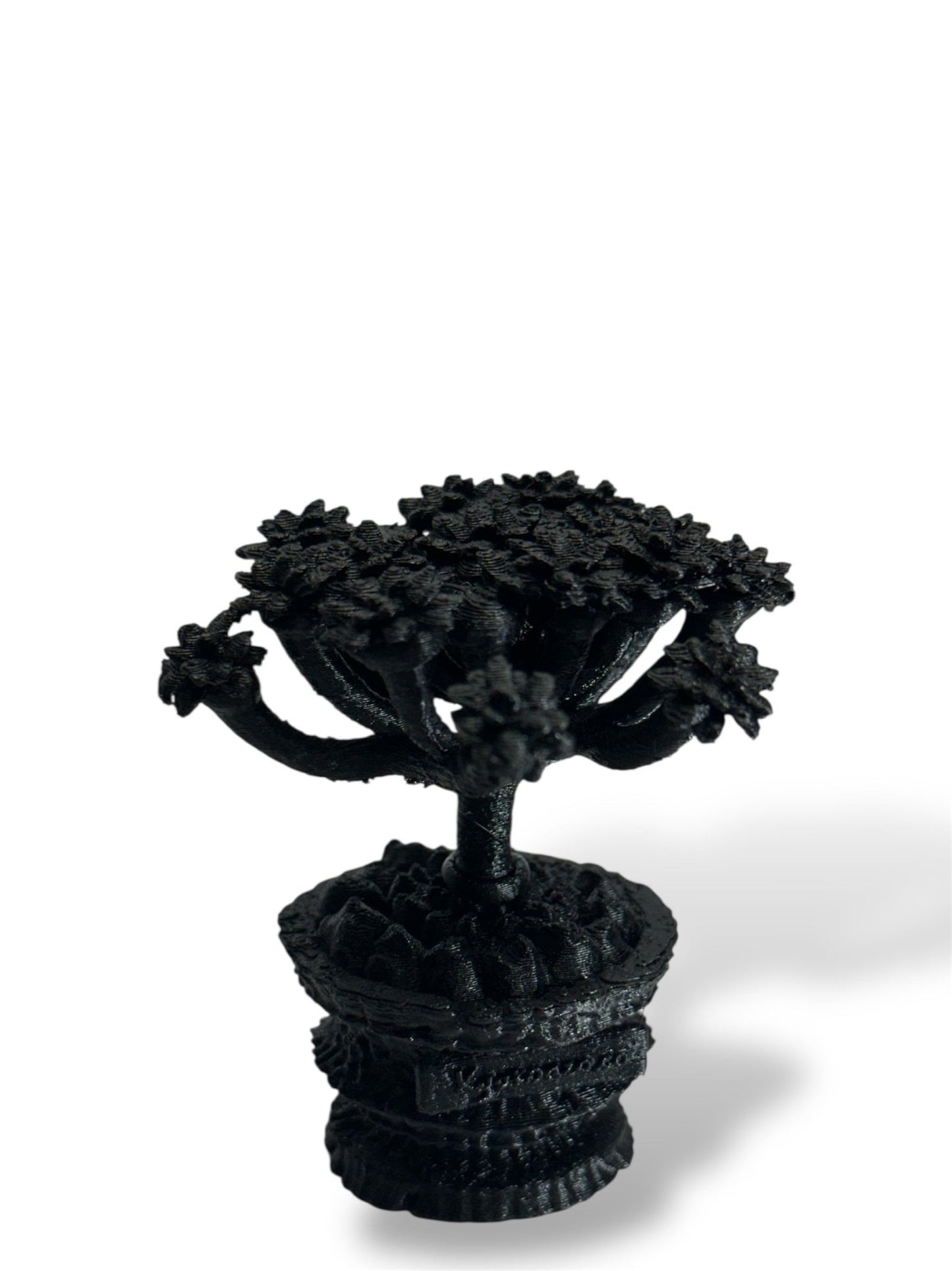 黑·植系列｜鬼棲閣 - 朽根造｜kyukonzo.co