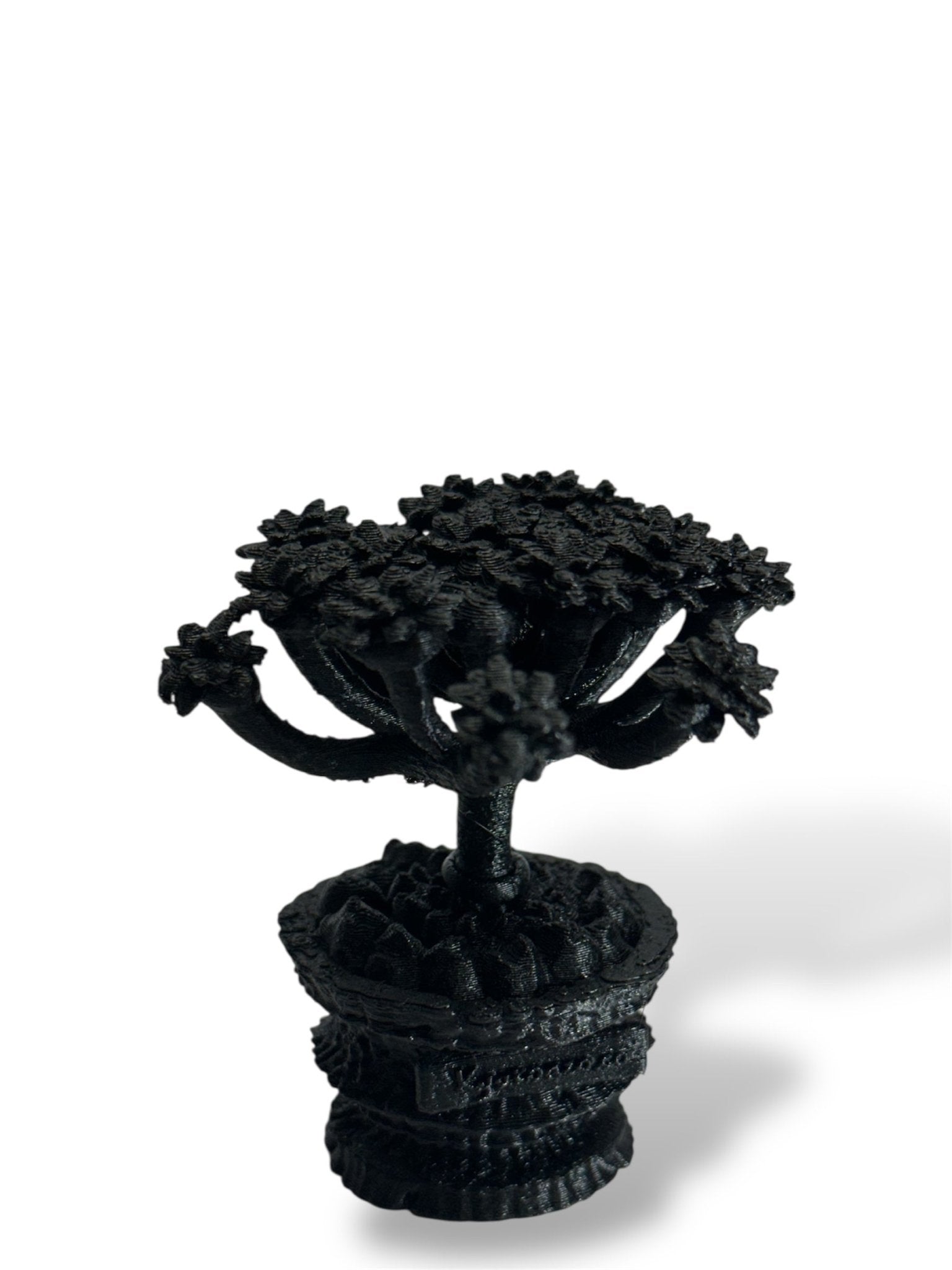 黑·植系列｜鬼棲閣 - 朽根造｜kyukonzo.co