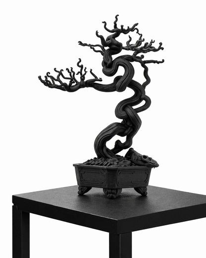 黑．盆系列｜落．枯榮 - 朽根造｜kyukonzo.co