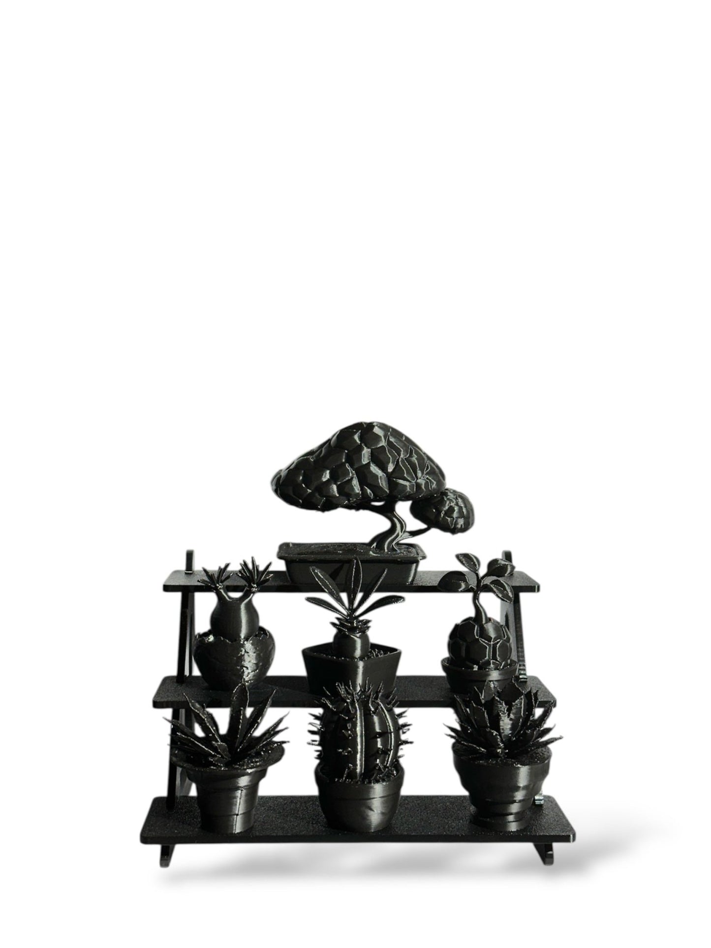 黑·植系列 | 靜物群像展示組 - 朽根造｜kyukonzo.co