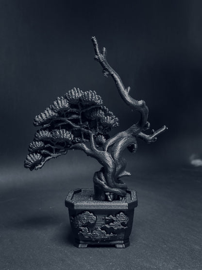 黑．盆系列｜限定周年．系魚川 - 朽根造｜kyukonzo.co