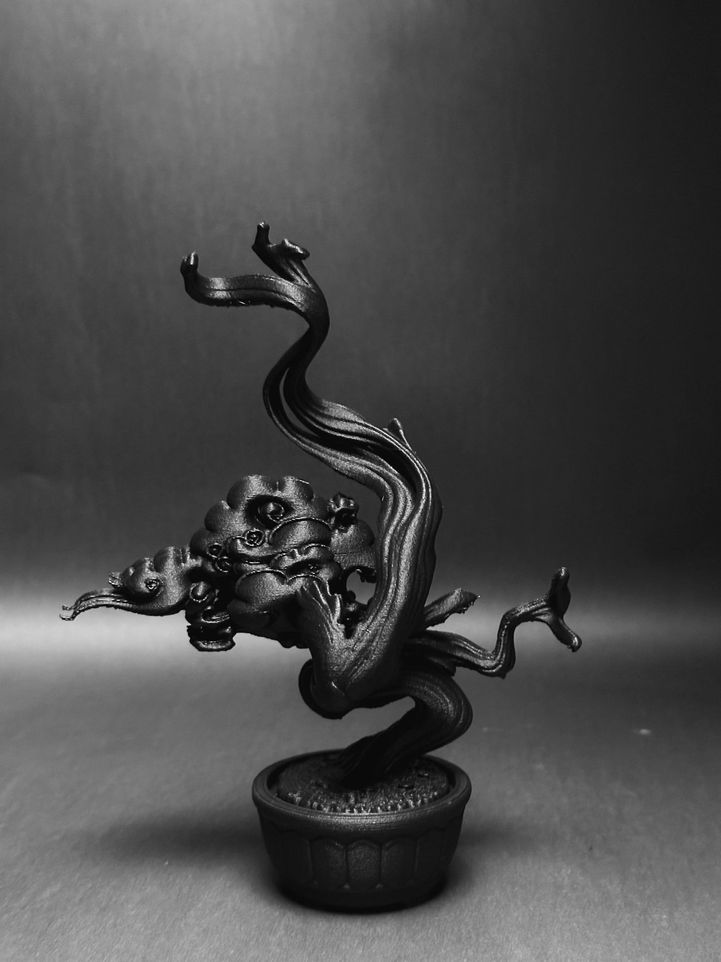 黑·盆系列｜舍利·逆風 - 朽根造｜kyukonzo.co