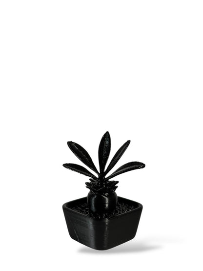 黑·植系列｜靜物單植擺飾 - 朽根造｜kyukonzo.co
