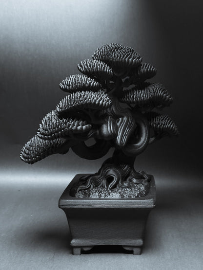 黑·盆系列｜洞·韻 - 朽根造｜kyukonzo.co