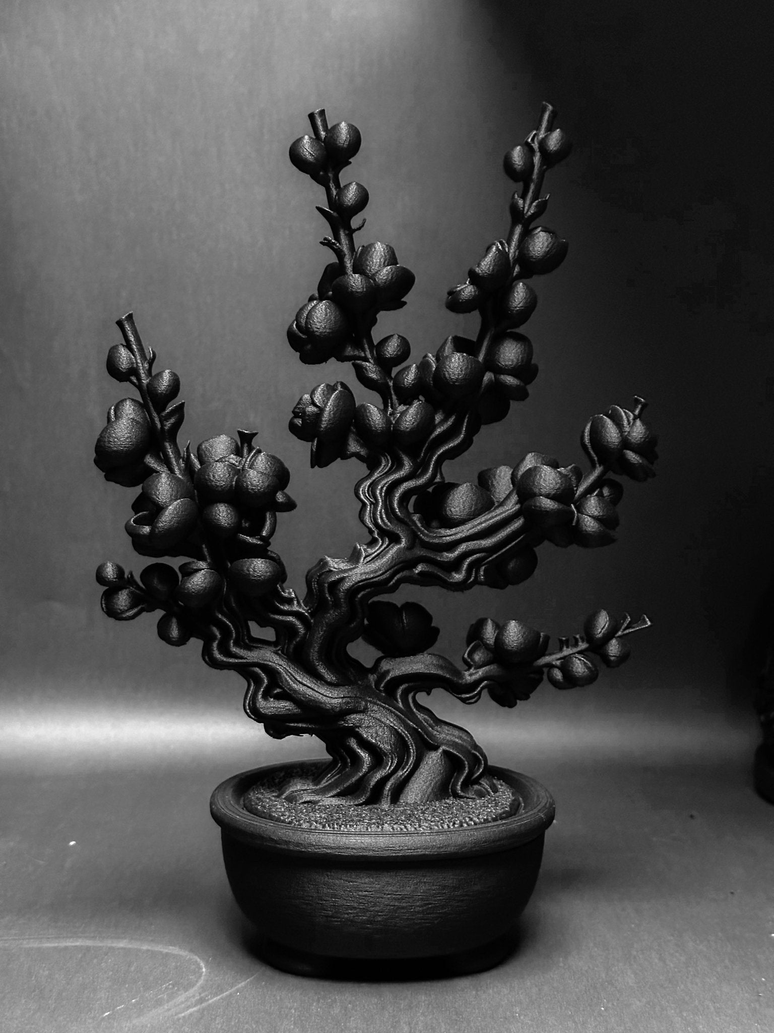 黑·盆系列｜枝·梅 - 朽根造｜kyukonzo.co