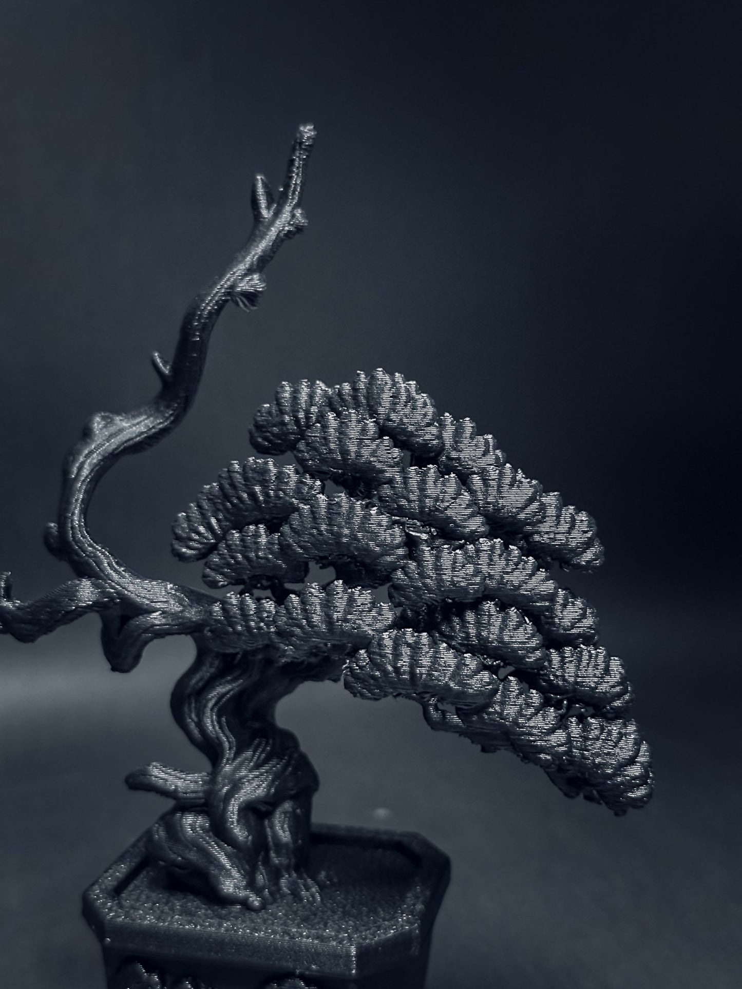黑．盆系列｜限定周年．系魚川 - 朽根造｜kyukonzo.co