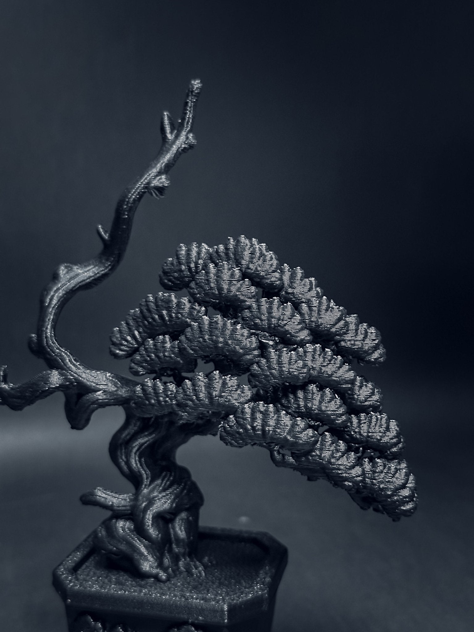 黑．盆系列｜限定周年．系魚川 - 朽根造｜kyukonzo.co