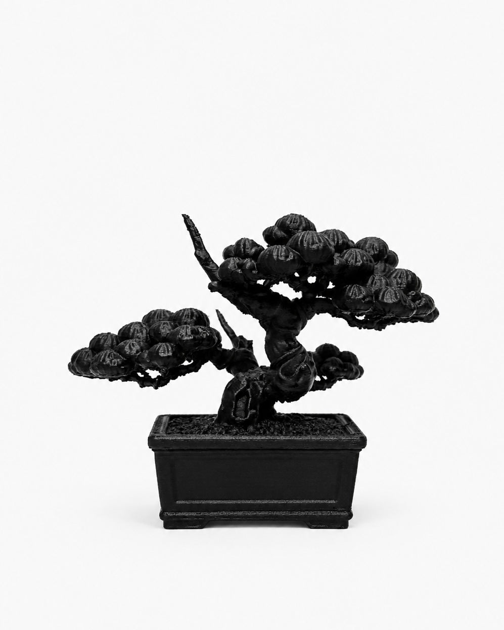 黑．盆系列｜双．柏 - 朽根造｜kyukonzo.co