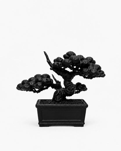 黑．盆系列｜双．柏 - 朽根造｜kyukonzo.co