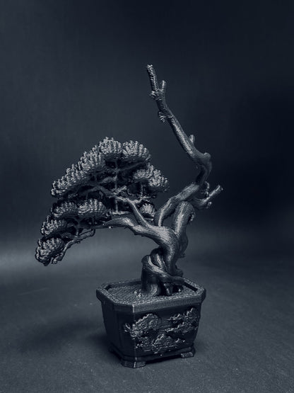 黑．盆系列｜限定周年．系魚川 - 朽根造｜kyukonzo.co