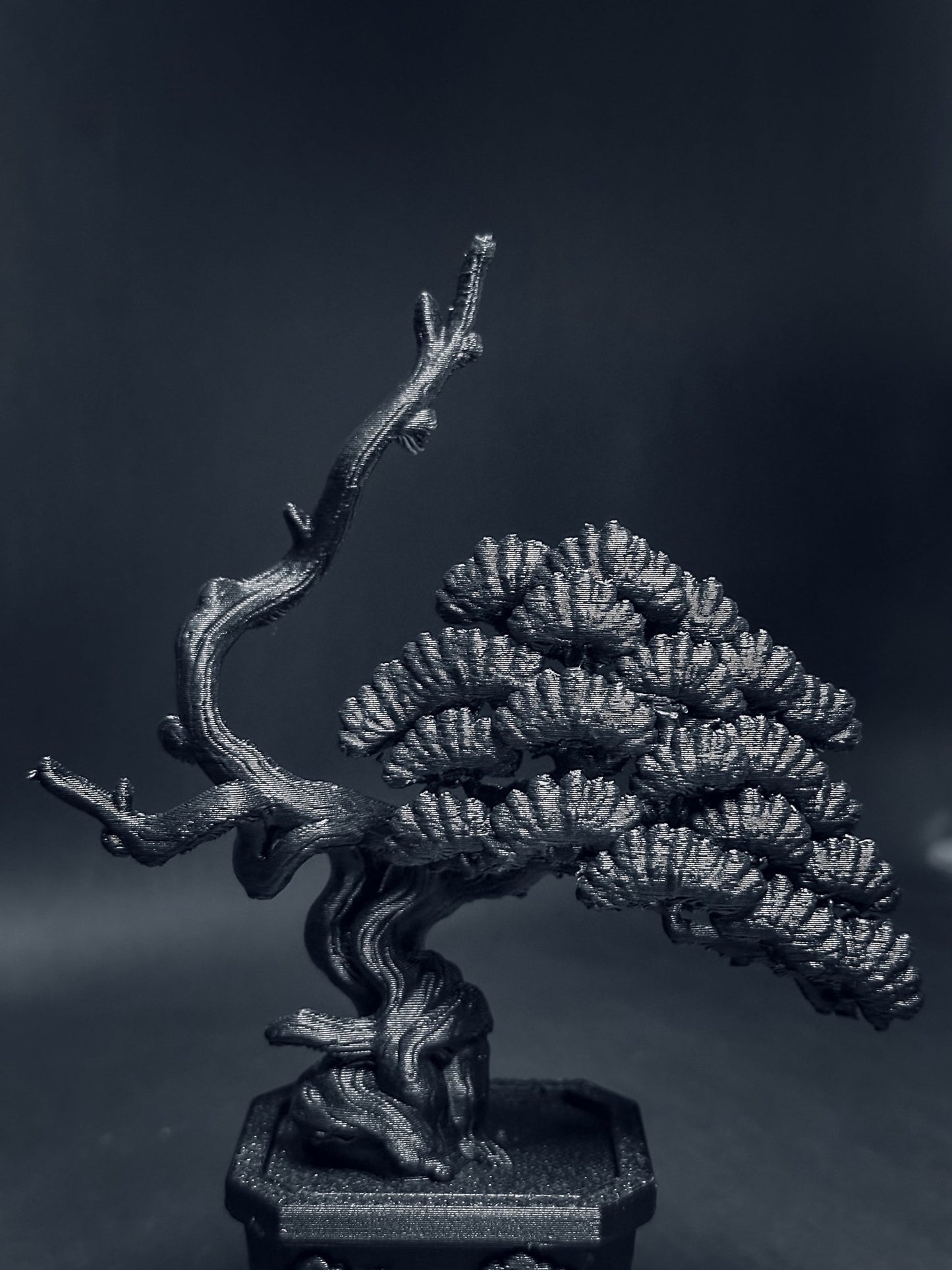 黑．盆系列｜限定周年．系魚川 - 朽根造｜kyukonzo.co