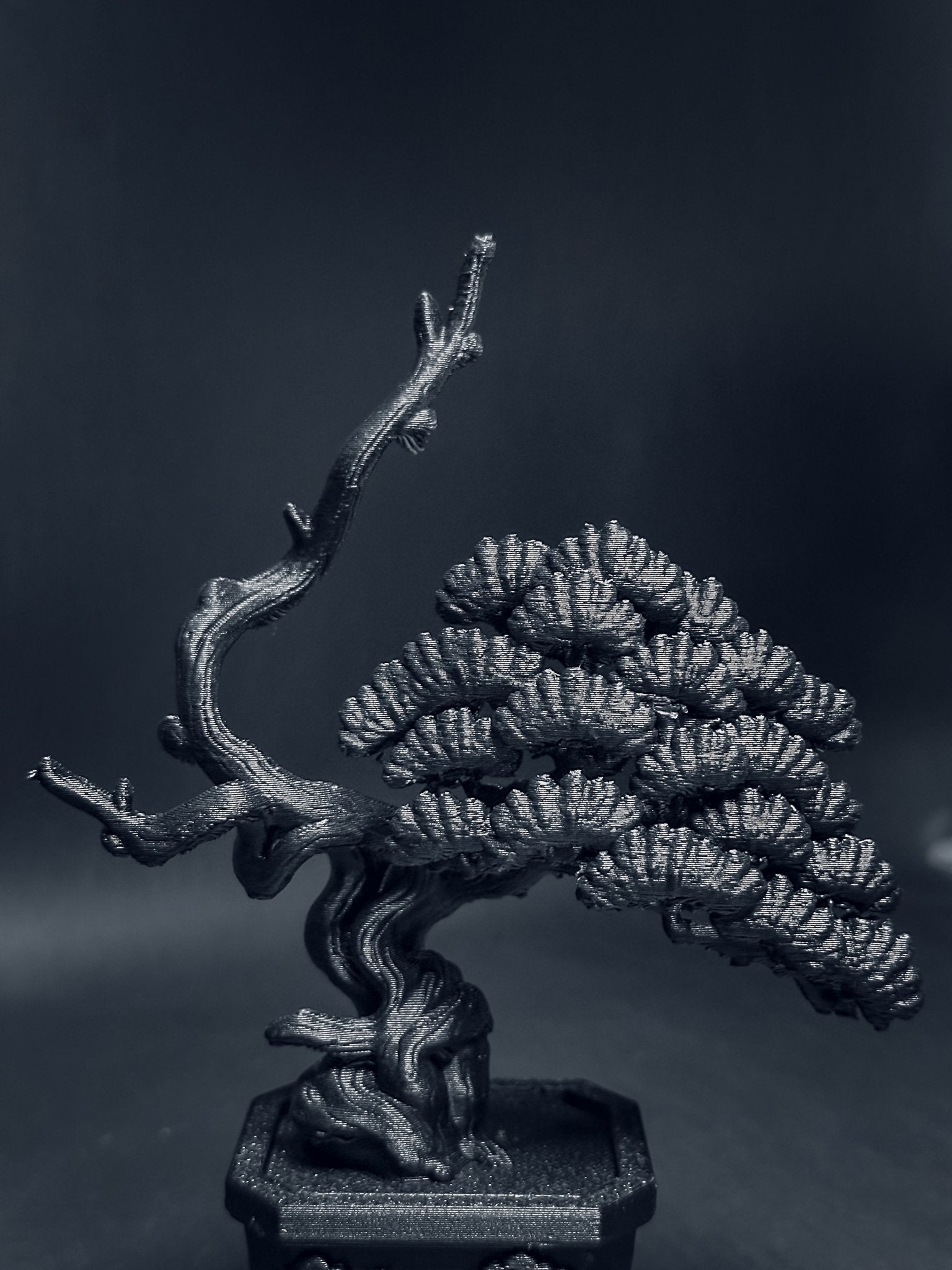 黑．盆系列｜限定周年．系魚川 - 朽根造｜kyukonzo.co