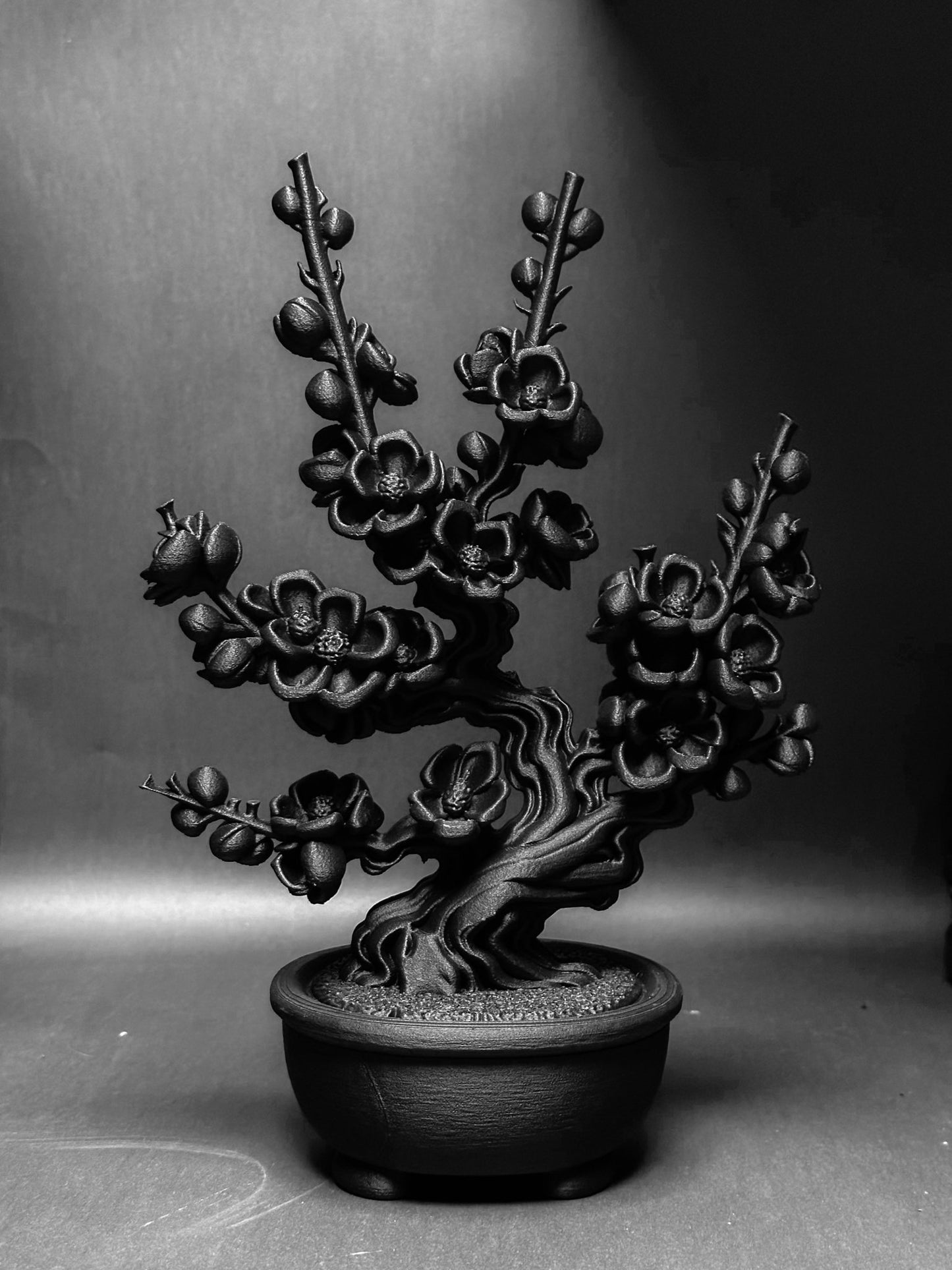 黑·盆系列｜枝·梅 - 朽根造｜kyukonzo.co