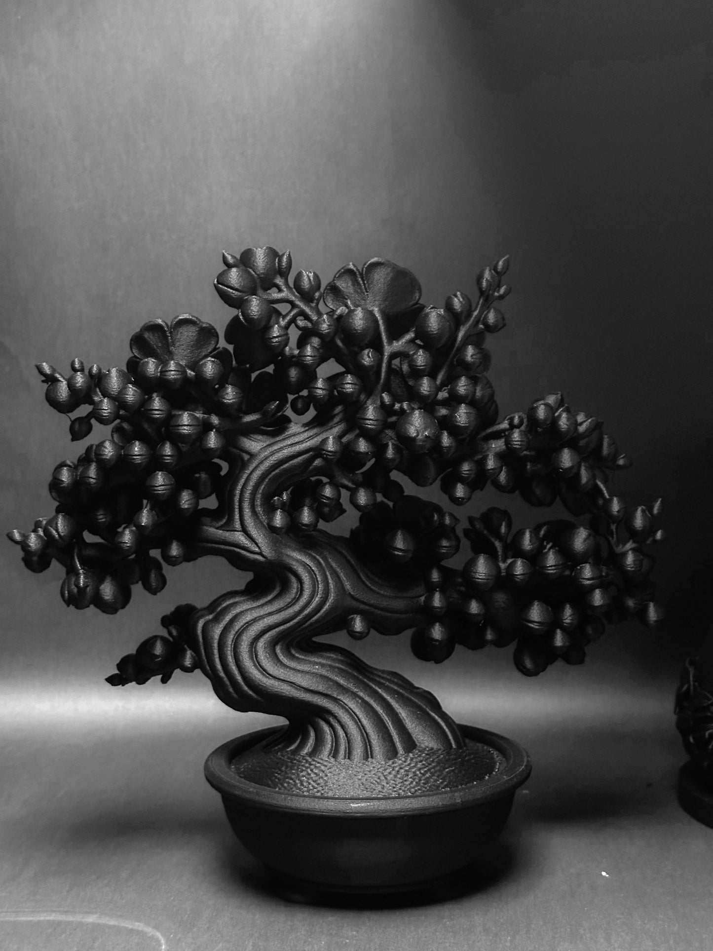 黑·盆系列｜展·梅 - 朽根造｜kyukonzo.co