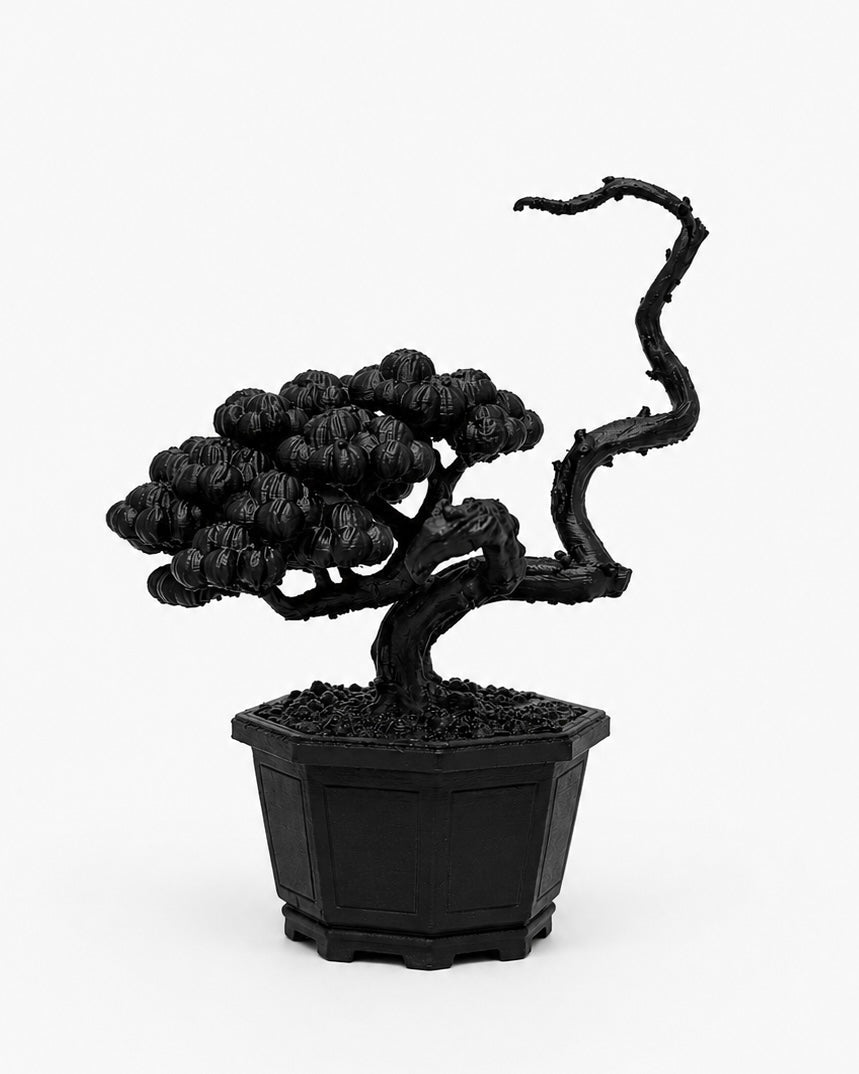 黑．盆系列｜枯．柏 - 朽根造｜kyukonzo.co