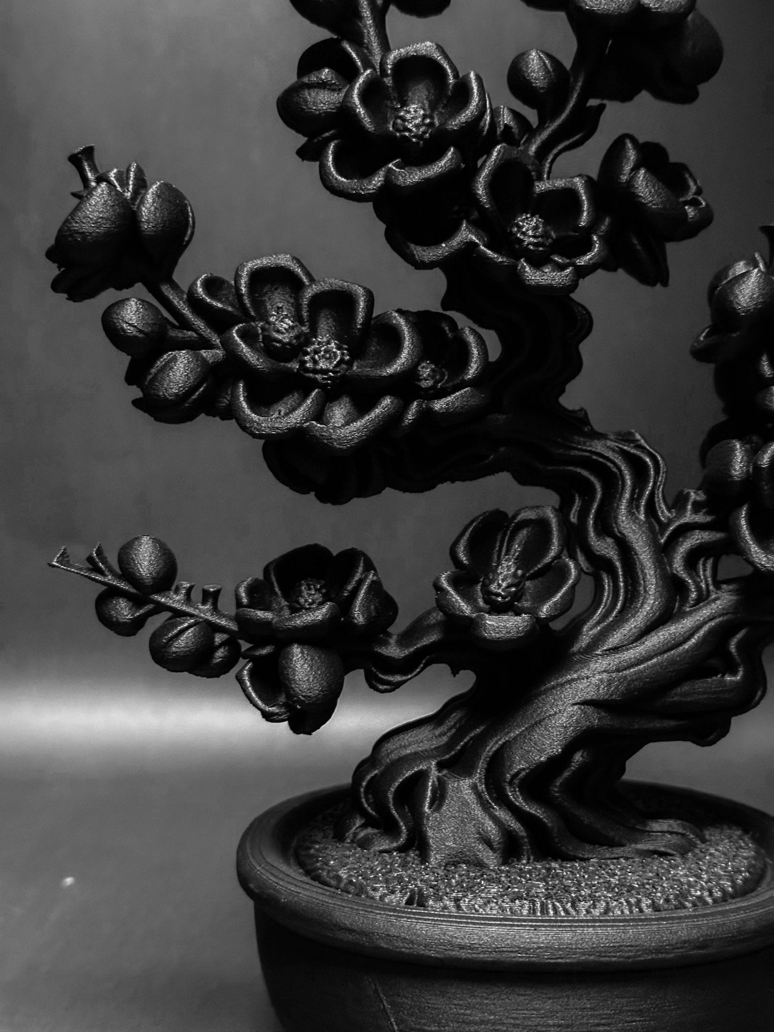 黑·盆系列｜枝·梅 - 朽根造｜kyukonzo.co